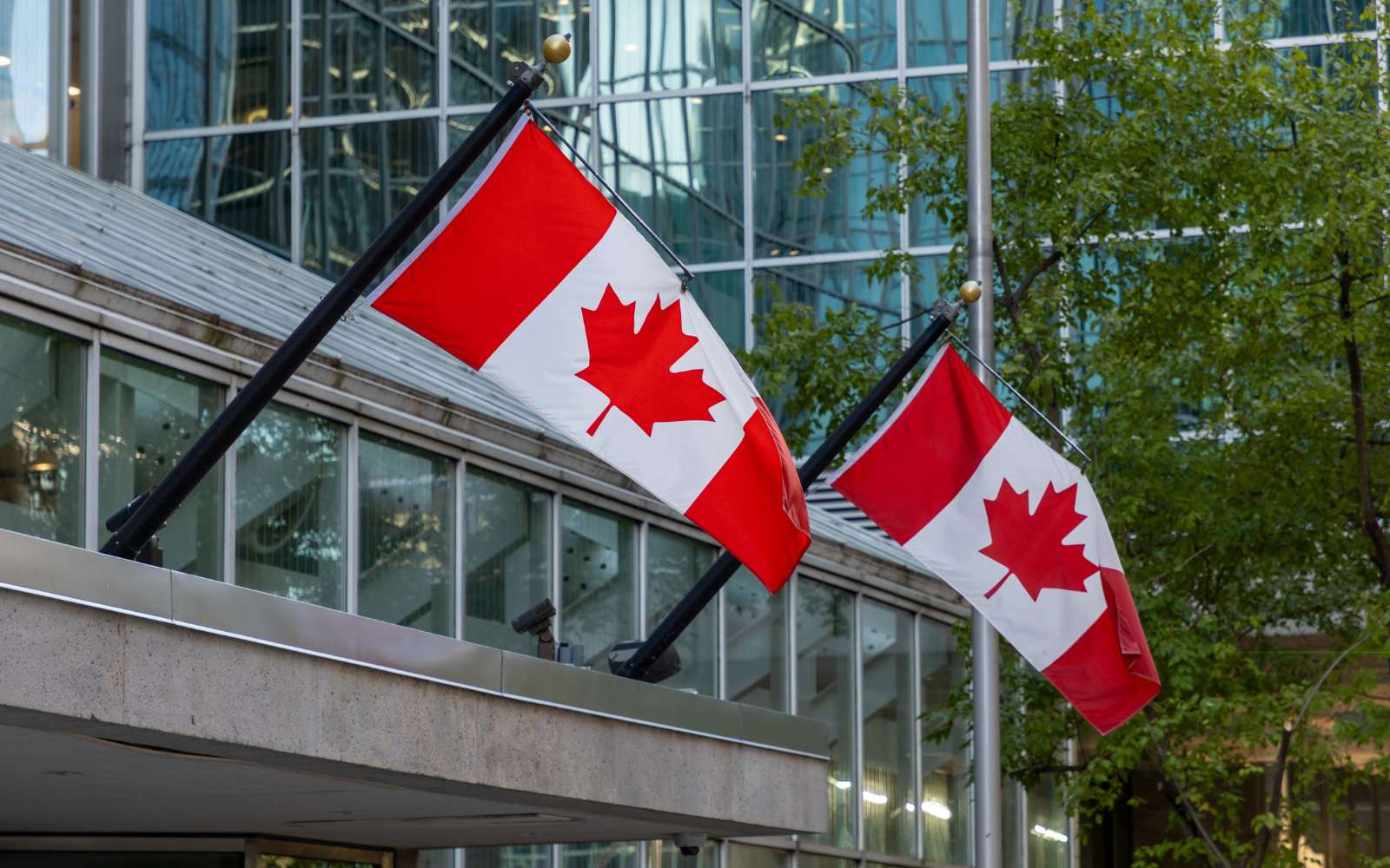 Canadian flags in front of office building representing the August Proposals